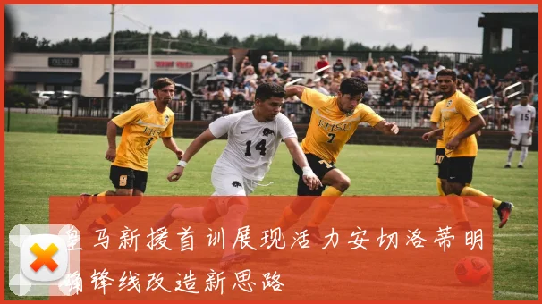 皇马新援首训展现活力安切洛蒂明确锋线改造新思路
